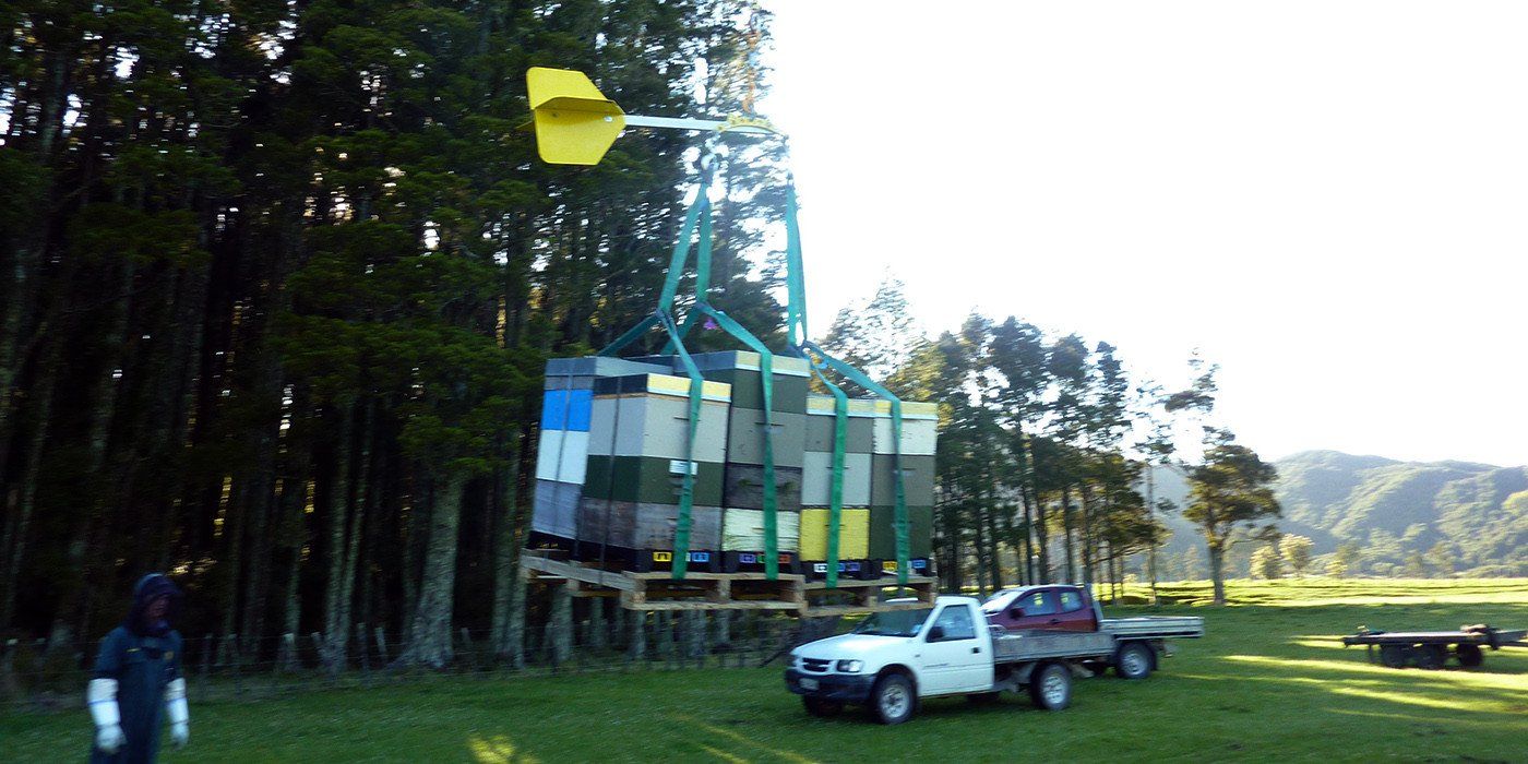 2015 Manuka Honey Season