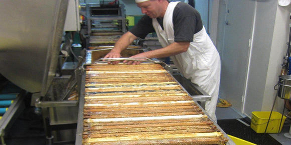 Harvesting Avatars High Grade Honey