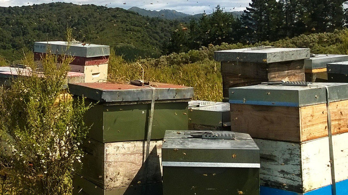 NZ Govt’s MPI attempts to implement a new honey definition